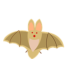 bat cartoon
